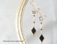 画像1: 【14KGF】Earrings,Gemstone Labradorite,Black Diamond (1)