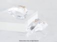 画像1: 【Minimalism】14KGF Hammered Ear Climber-Gemstone,Dream Crystal, NY Herkimerdiamond (1)