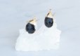 画像2: 【14KGF】Earrings,Gemstone,Pear-Shaped Black Onyx