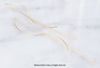 Needle Chain Glossy Gold Earrings