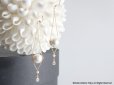 画像1: 【14KGF】14KGF Chain Dangle Earrings,AAA Fresh Water Pearl,CZ,Cotton Pearl (1)